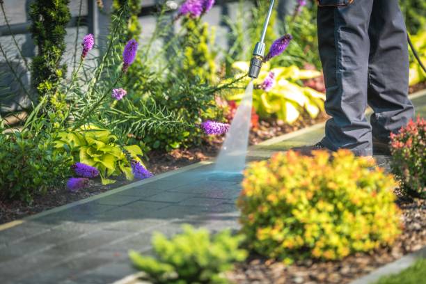 Best Fence Cleaning  in New Canaan, CT